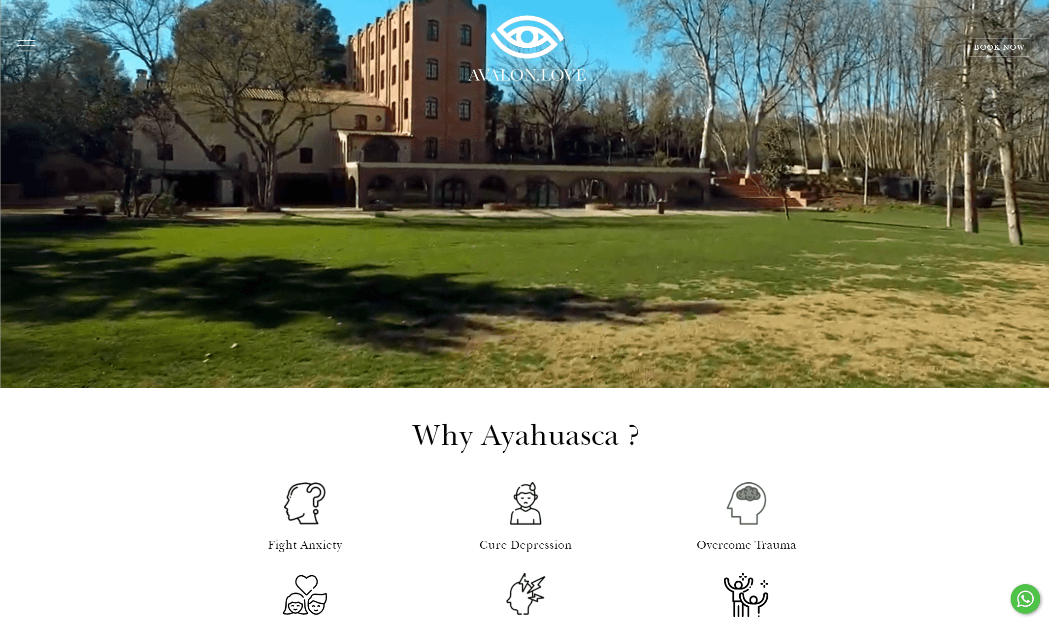 Ayahuasca death image